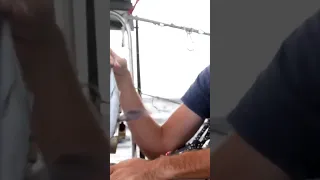 #sailing #ocean #fish #flyingfish