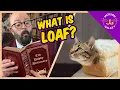 What is the Cat Loaf Why Does My Cat Sit in a Loaf