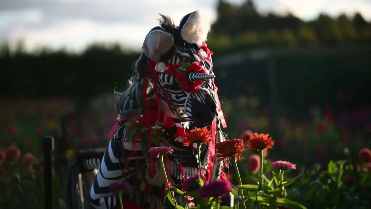 Carousel stroll in flowers