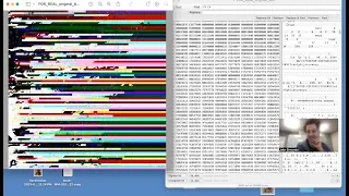 Tutorial Corrupting Jpegs with a Hex Editor