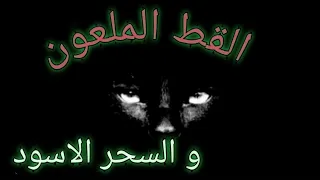 قصص رعب بالدارجة المغربية القط الملعون 