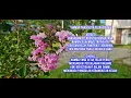Download Lagu Hamba Yang Setia Telah Pergi | Lagu Penghiburan Keluarga Yang Ditinggalkan Oleh Orang Tersayang. 