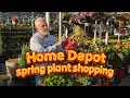 Did This Home Depot Have Better Plants Garden Center Walkthrough 26