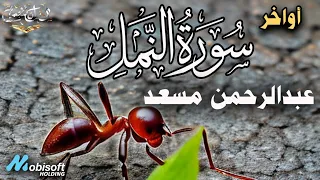 عبدالرحمن مسعد تلاوة تنصت لها القلوب والآذان لأواخر سورة النمل Best Recitation By Abdulrahman Mosaad 