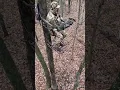 Download Lagu Big Buck Hunt! #nature #hunting #deerhunting #deer #archery #bowhunting #teamspypoint