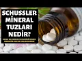 Schussler Mineral Tuzları Nedir?