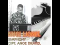 Download Lagu SIMPHONY - ANOE DRAKEL // NUGI LIONEL COVER LAGU SLOW TERBARU