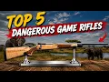 Best Dangerous Game Rifles Ever Made - Top 5 African Safari Legends