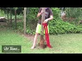 DIY Pulling a 4x4 Post Out of Ground