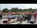 Amie (Cover) - Pure Prairie League by Foxes and Fossils
