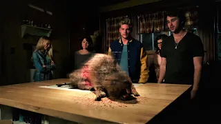 zombeavers 2014 film explained hindi urdu horror thriller zombie movie summarized 