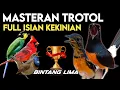 Download Lagu Dahsyat !! MASTERAN MURAI TROTOL TEMB4K4N KEKINIAN FULL ISIAN MEWAH‼️
