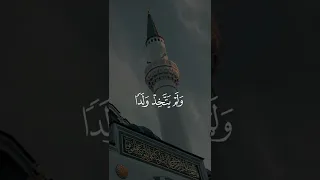 من أجمل تلاوات الشيخ محمد ايوب Quran 