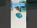 Download Lagu My pet rocks favorite food.. 💀 #shorts #petrock #cute