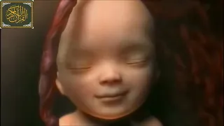 يا ايها الإنسان ما غرك بربك الكريم فيديو مؤثر تخشع له القلوب الشيخ عبد الباسط عبد الصمد 