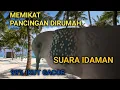 Lagu SUARA TEKUKUR DEKUKUR GACOR LOKAL ALAM KUK 0 ANGKATAN 1