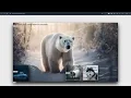 How to Create a Dynamic Background Image Slider with Navigation Buttons HTML CSS JavaScript