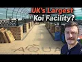 Lagu Is this the UK's LARGEST KOI FACILITY?