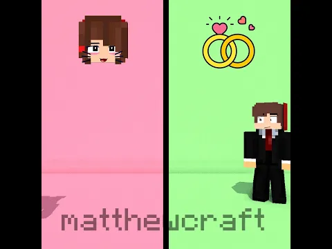 JJ dreamgirl 😍😍😍 #matthewcraft #minecraft #shorts
