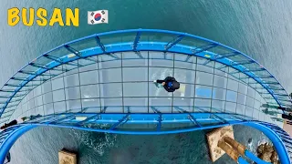 [4K] 🌊바다 위를 걷는 청사포 다릿돌 전망대에서… 🇰🇷📸 부산 / A must-visit attraction in Busan - Korea 🇰🇷 Fake Drone Shot 썸네일