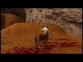 Centaur Animation By Sagar Palshetkar