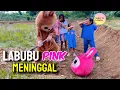 Download Lagu SEMUA SEDIH LABUBU PINK MENINGGOY🥹