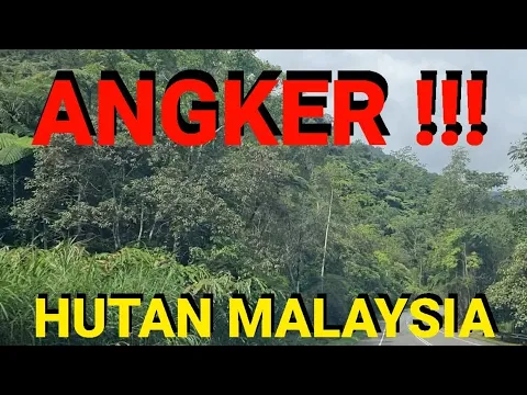 Download MP3 HUTAN MALAYSIA, NGERRIII ... ANGKER !!!