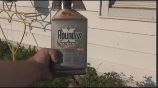 How to mix roundup extended control weed killer