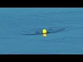 Download Lagu Mancing Di Laut Asin Lagi !!! Berburu Ikan Baramundi/Kakap Putih Merona