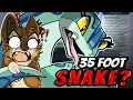 Exploring The Warrior Cat s Wiki s HIDDEN GEMS