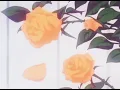 monte booker - kolors ft. smino ( slowed + reverb )