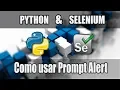 Chapter 22 Python with Selenium Course Automating Prompt Alerts