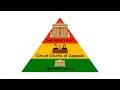 Every Level of the US Federal Court System Explained
