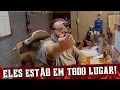 Channel