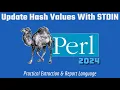 Perl Programming Update Hash Values STDIN 2024