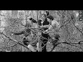 Video di teaser uccelli 1968
