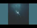 Noah Hill - Heaven