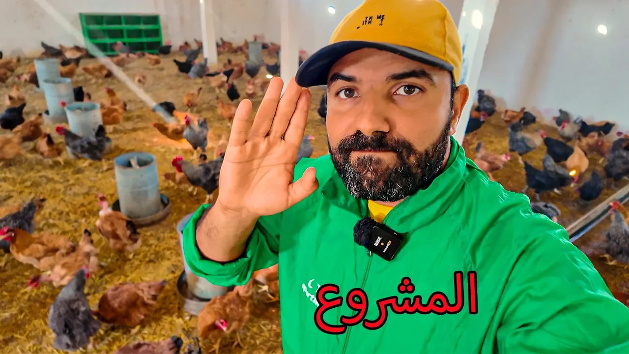 حان وقت الجد 💼 من الحلم إلى المشروع الحقيقي!