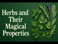 10 Herbs and Their Magical Properties