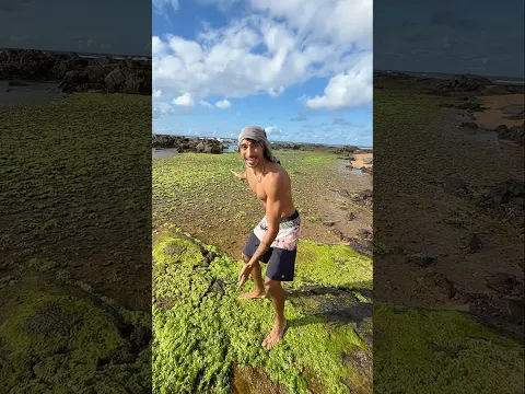 A Praia ficou VERDE 🤯