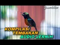 Lagu TERAPI DAN KOMPILASI TEMBAKAN KONIN GACOR FULL ISIAN AUDIO JERNIH COCOK UNTUK PANCINGAN KOLIBRI