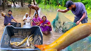 ভরা বর্ষায় আমাদের পুকুর থেকে জাল পেতে কত ধরণের মাছ পেলাম সাথে মায়ের হাতের স্পেশাল রান্না | villfood