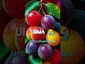 Download Lagu ummande kabooru visalam ak Allah aa