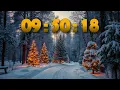 Cozy Winter MULTI TIMER 10H 1M Snowy Landscape Countdown Study Focus Meditation Ambience