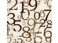 JavaScript Random Number