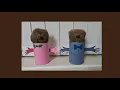 Samson Grass Heads with the Bondlings - Children s bible story and craft activity MexBC