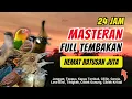 Download Lagu Masteran Kombinasi Tembakan Kasar Untuk Semua Jenis Burung Lomba