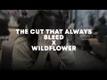 Download Lagu the cut that always bleed X wildflower - conan gray, billie eilish (slowed + reverb)