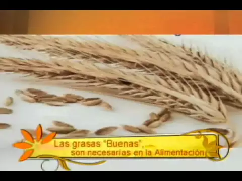 Las grasas buenas son necesarias en la alimentación