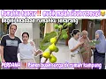 RUMAHKU HANCUR‼️ BEGINI KEADAAN RUMAHKU SEKARANG || PERDANA PANEN BUAH SURGA DI RUMAH KAMPUNG